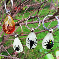 Cool Real Insect Keychain