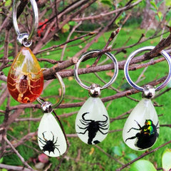 Cool Real Insect Keychain