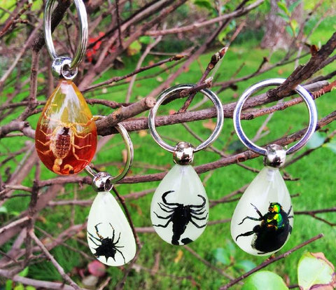 Cool Real Insect Keychain