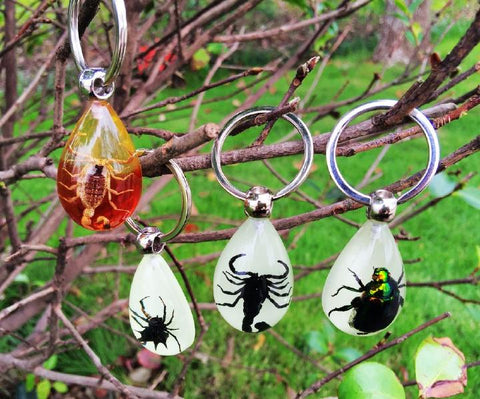 Cool Real Insect Keychain